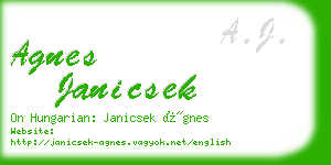 agnes janicsek business card